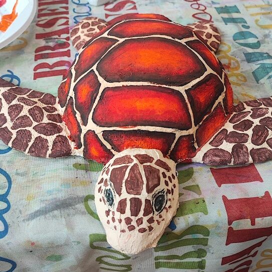 Tartaruga 3d